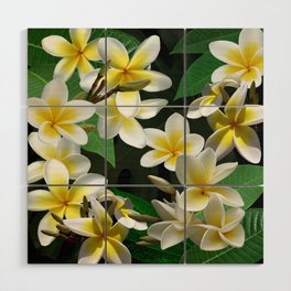 Plumeria Flowers Wood Wall Art