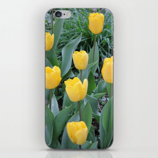 Appledorn Tulips iPhone Skin