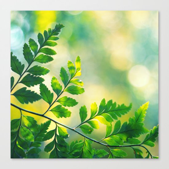 Luminous Magic Canvas Print