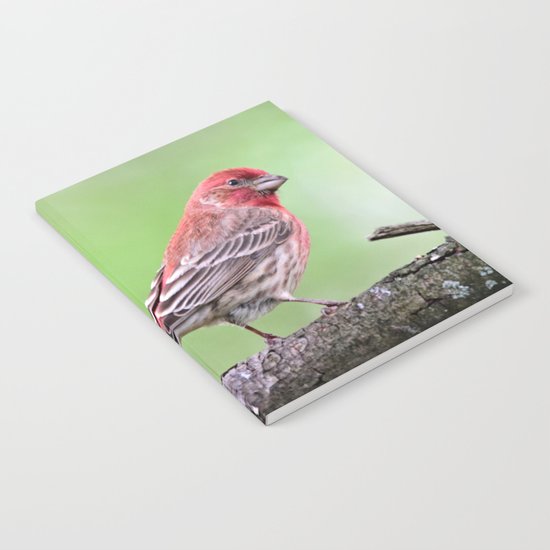 Fancy Finch Notebook