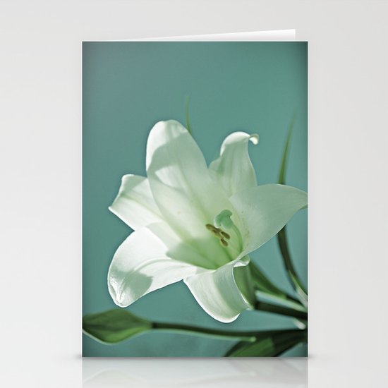 Seasonal Bloomer Stationery Cards