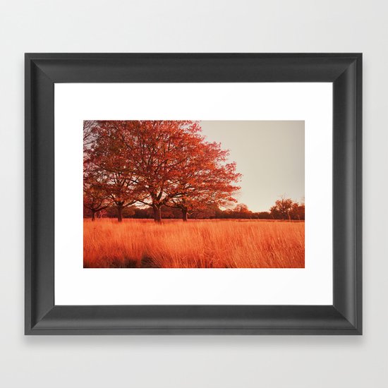 Autumn Framed Art Print
