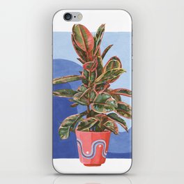 Variegated Rubber Tree iPhone Skin
