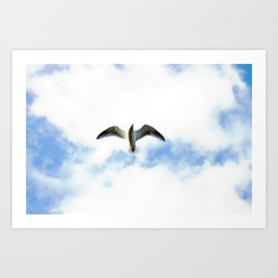 Seagull in Flight Art Print