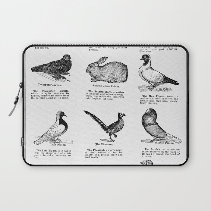 Domestic Pet (The Open Door to Independence) Laptop Sleeve