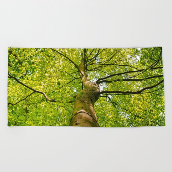 Sunlight Through Green Tree Crown Beach Towel