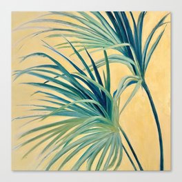 Palm Fronds in the Sun Canvas Print