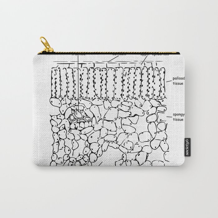 Histology - Leaf cross section Carry-All Pouch