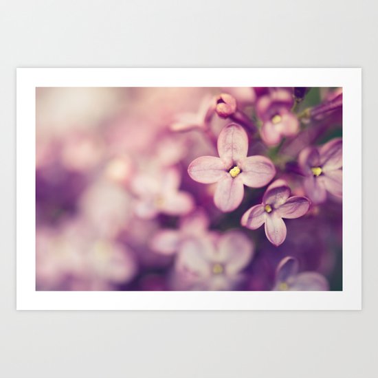 lilac Art Print