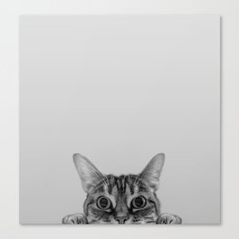 Peekaboo Cat Canvas Print