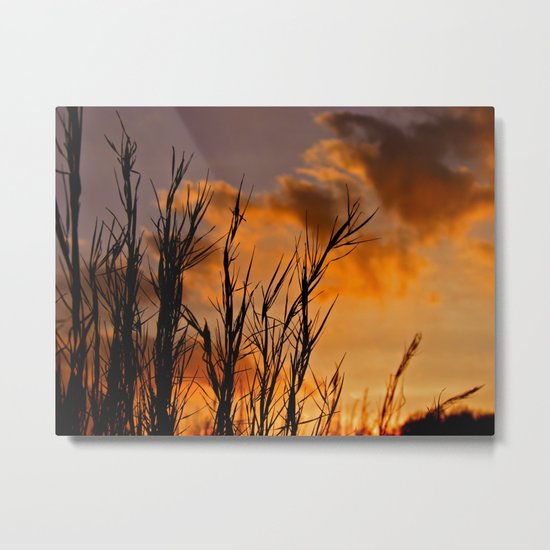 Almost Gone Metal Print