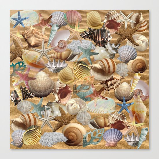 Sea Shell Mania Canvas Print