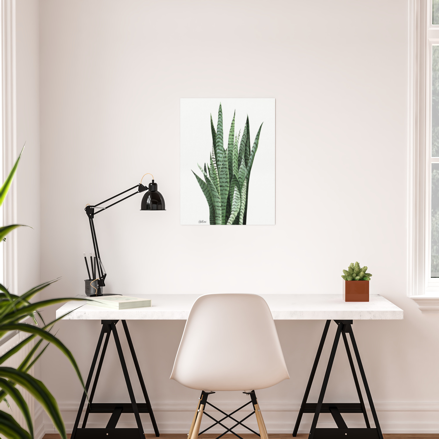 Snake Plant Sansevieria Laurentii Art Print Botanical Wall Art