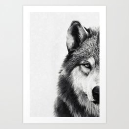 Wolf Art Print