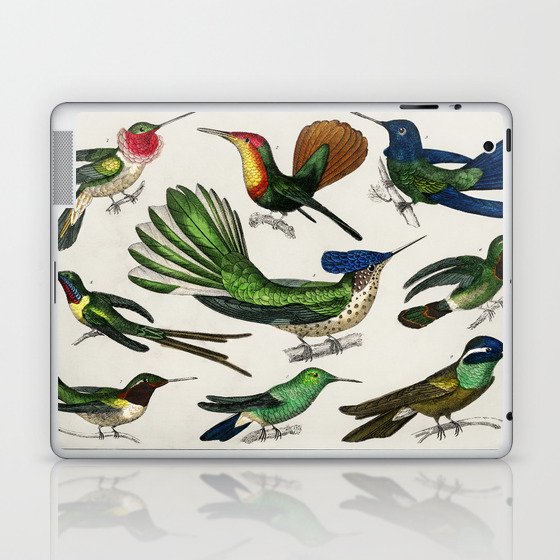 Tropical Birds Laptop & iPad Skin