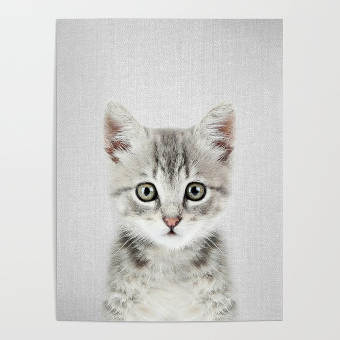 Kitten - Colorful Poster