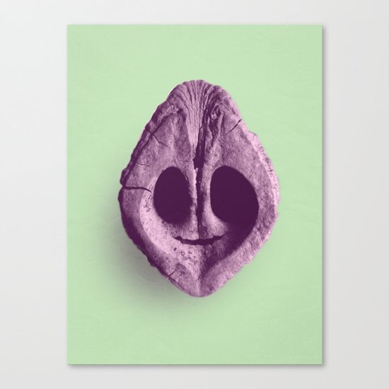 Walnut Smile Canvas Print