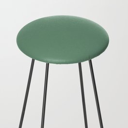 Simple Sage Green Solid Counter Stool