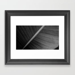 Lines of Leaf Black and White Framed Art Print