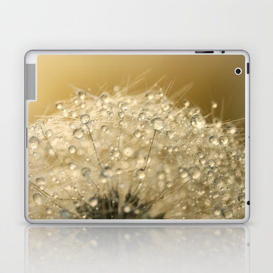 Sun Sparkled Dandy Laptop & iPad Skin