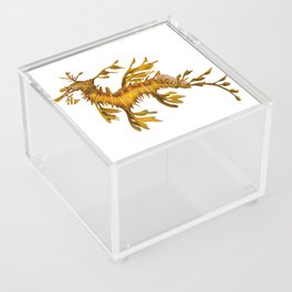 Leafy Sea Dragon Acrylic Box