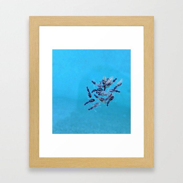 Flying Ants Swimming Lessons Framed Art Print