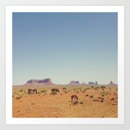 Grazing The Desert Art Print