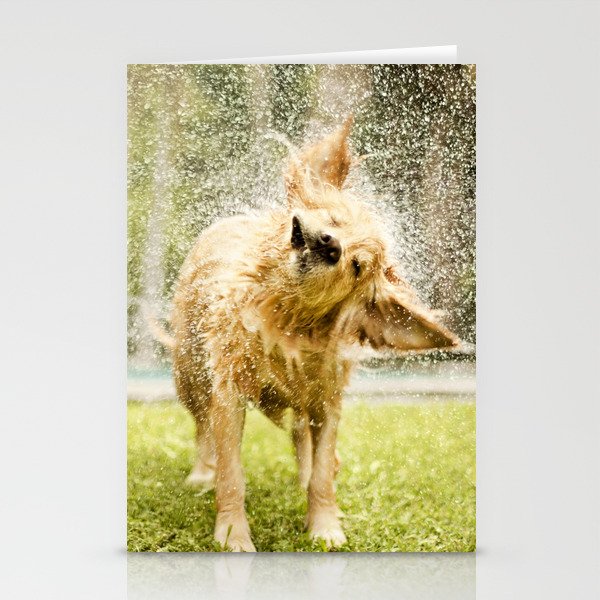 Dog shaking off water Stationery Cards