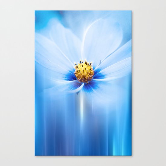 Midnight Blue Canvas Print