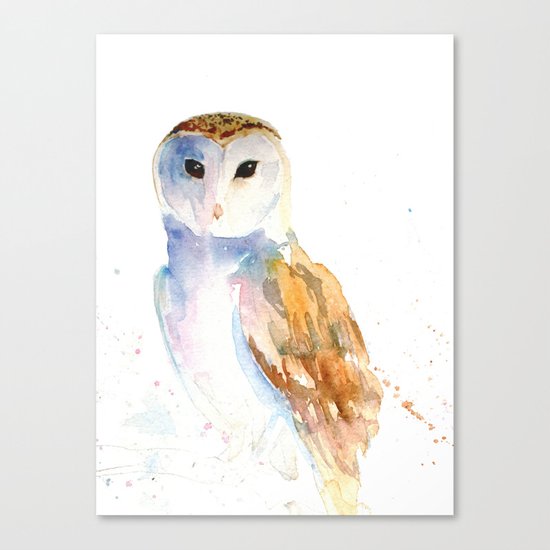 Evening Barn Owl Canvas Print