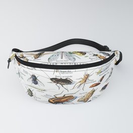 Insects Illustrations by Millot and Larousse Fanny Pack