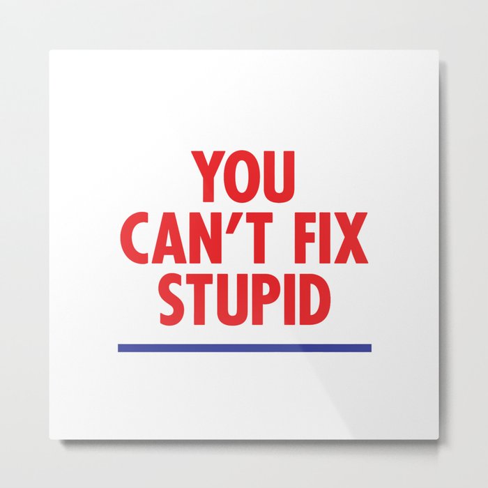 You Can T Fix Stupid Metal Print By I Am A Graphic Designer Society6