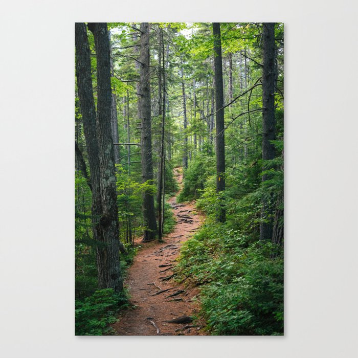Canvas Print