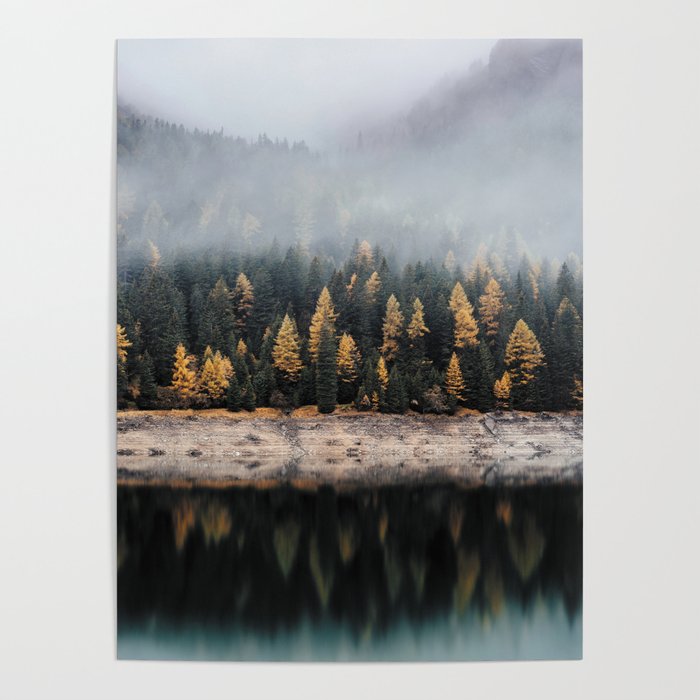 Forest Photography Poster