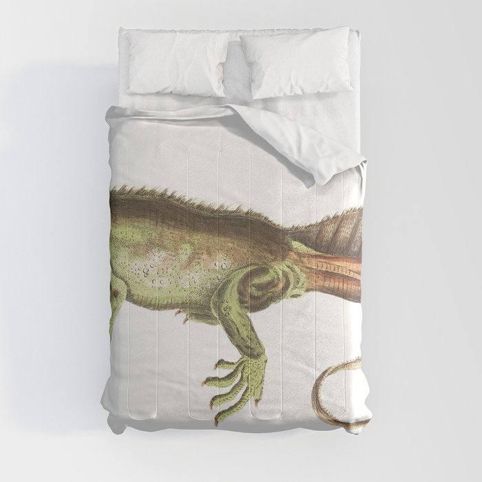 Amboina Lizard or Long-Tailed Variegeted Lizard Comforter