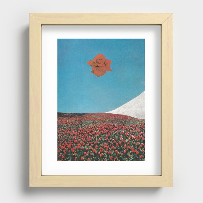 rose Recessed Framed Print