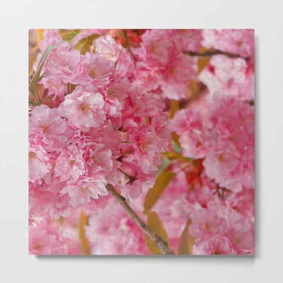 Cherry blossom #4 Metal Print