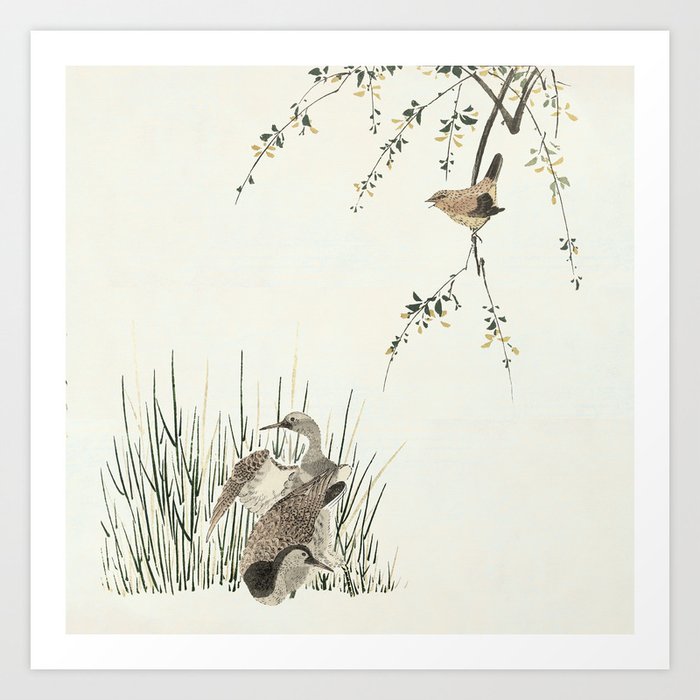 Ducks in the reeds Art Print