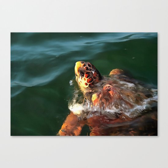 Loggerhead Turtle Canvas Print