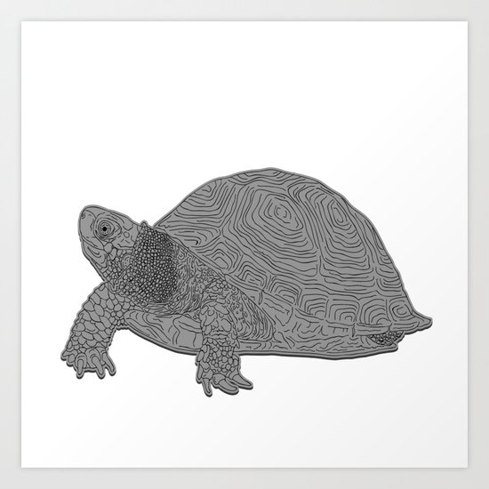 Turtle Illustration B/W Art Print