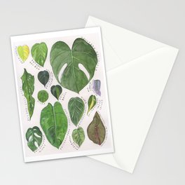 Tropical Houseplants Botanical Illustration Watercolor Stationery Cards