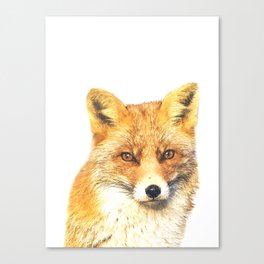 Fox Portrait Canvas Print