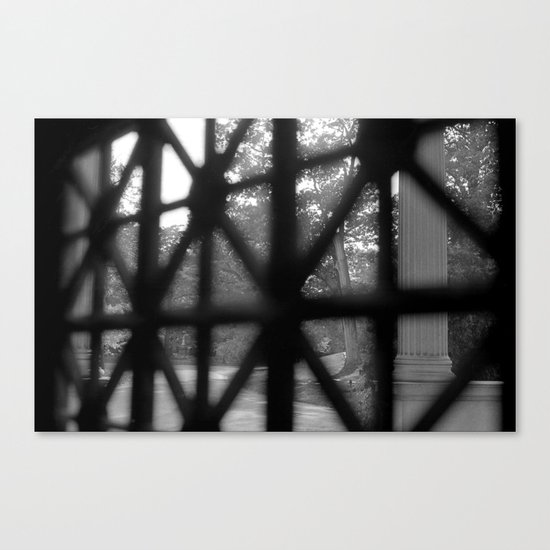 Inside Looking Out Canvas Print