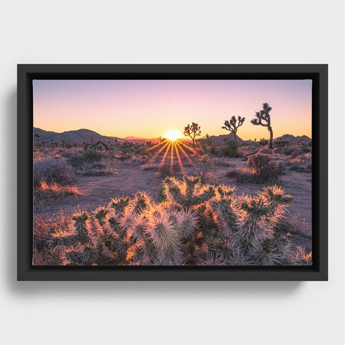 Joshua Tree Cholla Cactus Sunset Framed Canvas