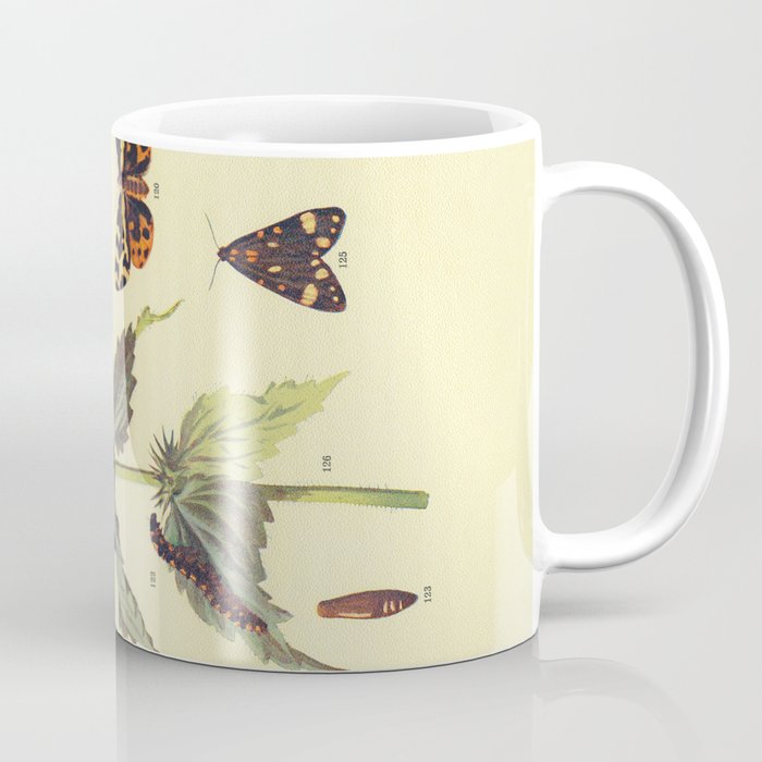Vintage Scientific Wood and Scarlet Tiger Moths Illustration Print Coffee Mug