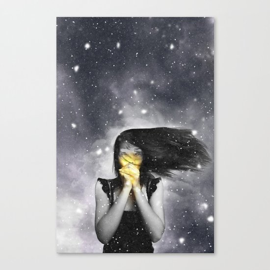 fragile Canvas Print