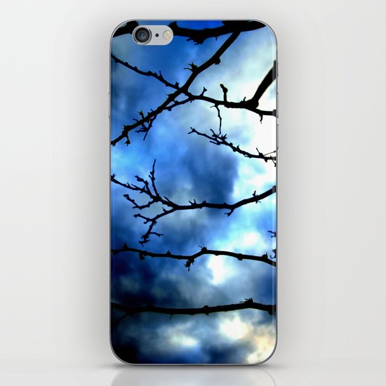 Storm Warning iPhone & iPod Skin