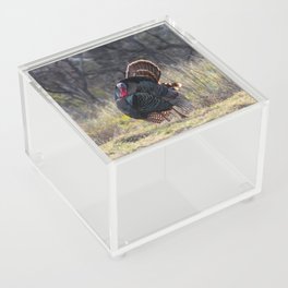 Turkey Calls Acrylic Box