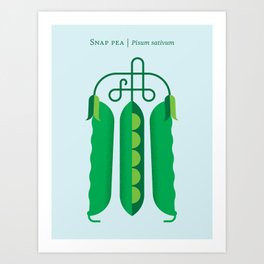 Vegetable: Snap pea Art Print