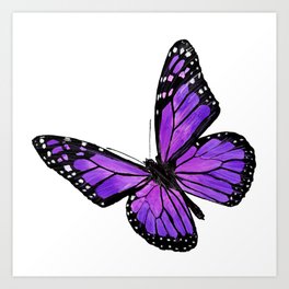 Purple butterfly Art Print